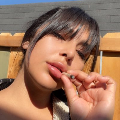 edithbrito_'s profile picture. 