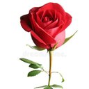 FazalKarim Haqparast - @FazalKarimHaqp1 - Twitter