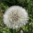 comei_21's profile image