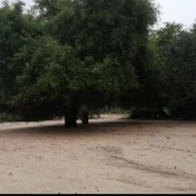 عاشق الرحلات البريه