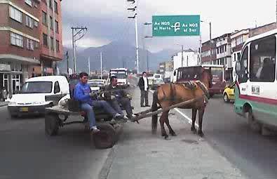 Soy zorrero trabajo en las calles de bogota