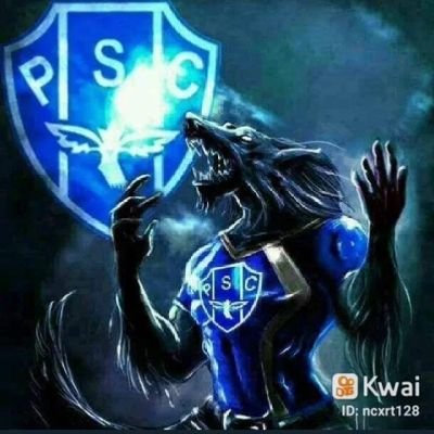 NelsonA29652846's profile picture. 