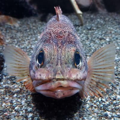 johnny150139's profile picture. 29/趣味垢/🐴肯定派