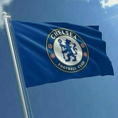 opinionated and not afraid to speak out always and forever a blue 💪💙💙💙💙