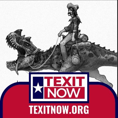 Texian transplant. Retired but kept busy with Texas Independence, Gun Rights, volunteer work at a dog rescue, and book addiction. #Texit