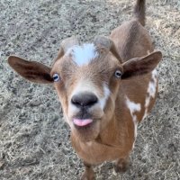laura(@unclelaura_) 's Twitter Profile Photo laura(@unclelaura_) 's Twitter Profile Photo
