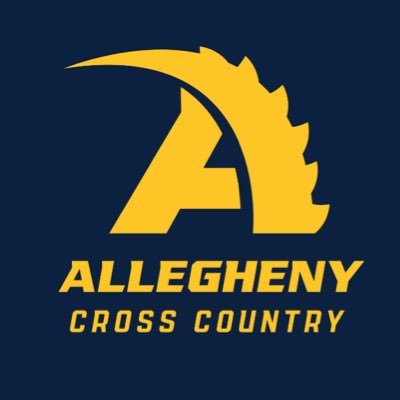 AlleghenyXCTF's profile picture. 