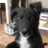 yera58's profile image