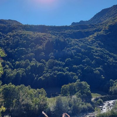 moroni75's profile picture. Moro75