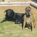 Sandra Elenes - @elenes_sandra - Twitter