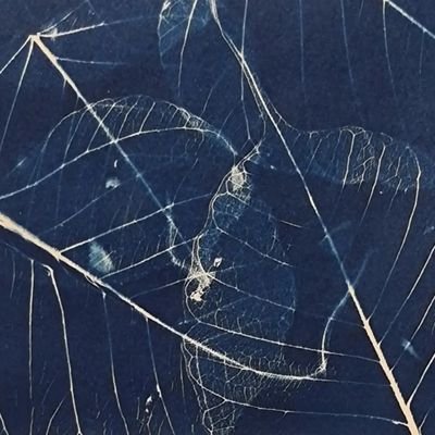 MrsSpaceStar's profile picture. Ürlaubs(über)reif.