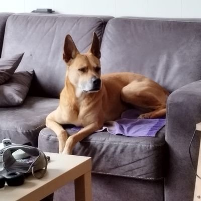 mpfellman's profile picture. I regularly#mute idiots to keep my timeline a bit more sane. BTW the opinions are my own. Oh and leave everything better than you found it.