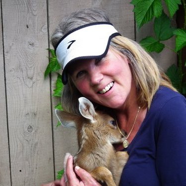 BornWild62's profile image