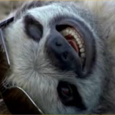 BillnChristy's profile image
