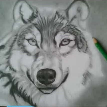 bae_terry01's profile picture. 