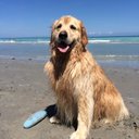 Bill Blodgett - @BillBlodgett8 - Twitter