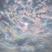 M_Mkikio (@padl_user) 's Twitter Profile
