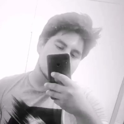 NotPandashii's profile picture. 