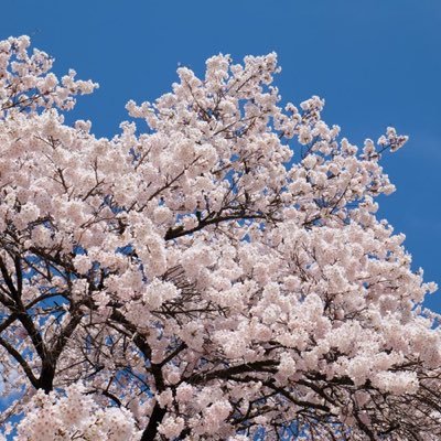 卓球のこと中心に呟くことが多いです🏓