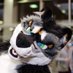 Chu @ FWA (@chutora) Twitter profile photo Chu @ FWA (@chutora) Twitter profile photo