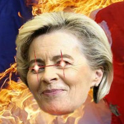 Frexit_Memes Profile Picture