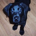 Michelle Giles - @cookie_giles - Twitter