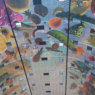 cscfscoalition's profile picture. 