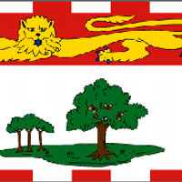 peistorm (@peistorm) 's Twitter Profile