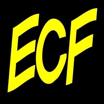 #ECFRochester -official hashtag of Empire Comic Fest!