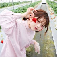 こもれびもか (@mocatankomorebi) 's Twitter Profile Photo