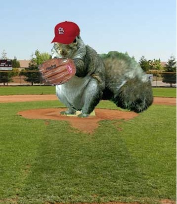 RedbirdSquirrel Profile Picture