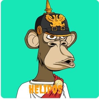 mdshadin2526's profile picture. https://t.co/T3ox26tMBF