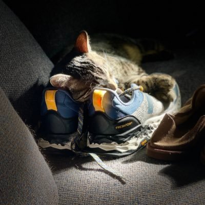 coughydrinker's profile picture. Boring