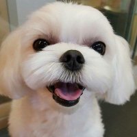 π₯πΏοΈ Ξ²πβ α΅πͺβπΎπ π π°π» (@qwertyzzk) 's Twitter Profile