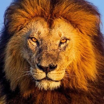 ChuckSnorre's profile picture. Love God and nature.