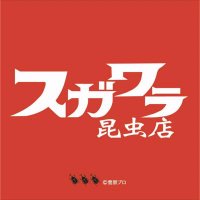 菅原昆虫店(@insectsugawara) 's Twitter Profile Photo