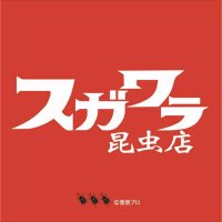 菅原昆虫店 (@insectsugawara) 's Twitter Profile Photo 菅原昆虫店 (@insectsugawara) 's Twitter Profile Photo