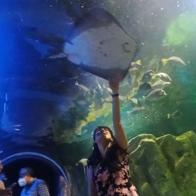 DarkiraClemm's profile picture. Seguimos en la batalla cultural🇲🇽💙 El derecho no debe ser relativo.

Si la cara quieres ver, debes la máscara pasar.