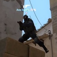 BudFly (@budflycs) 's Twitter Profile