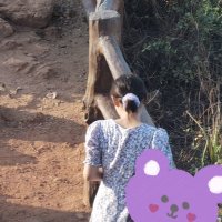 Coral (@coralye33) 's Twitter Profile