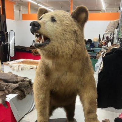 DhcH6QbwxYPUubx's profile picture. 