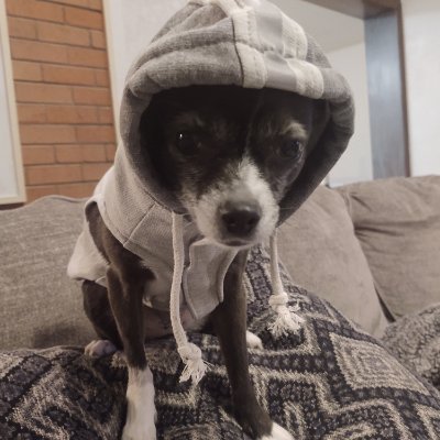 DenverLions's profile picture. Go Lions!

2023 NFC North Champions