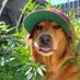 Heather (@heatherh420) Twitter profile photo Heather (@heatherh420) Twitter profile photo