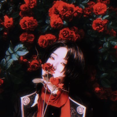 金平糖さんのプロフィール画像