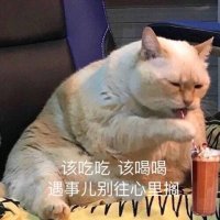 过节要 (@gujiyo3) 's Twitter Profile