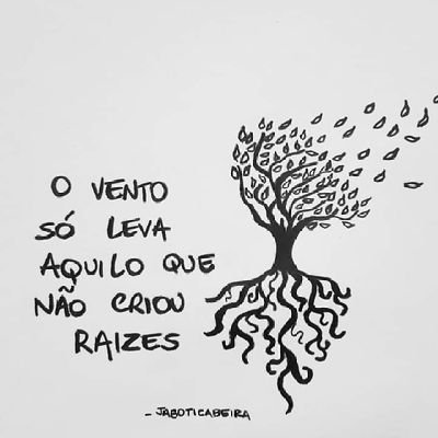 maiorepequeno's profile picture. Pode cair,até apanha.
Desiste jamais.