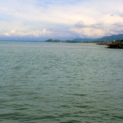 d7235fee17d24d0's profile picture. 