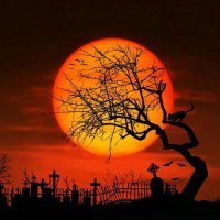 Özgür Aykanat (@ozguryolculuk) Twitter profile photo