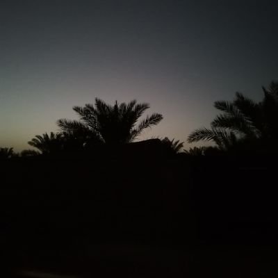 AmirM561's profile picture. Don't wish for it, Work for it