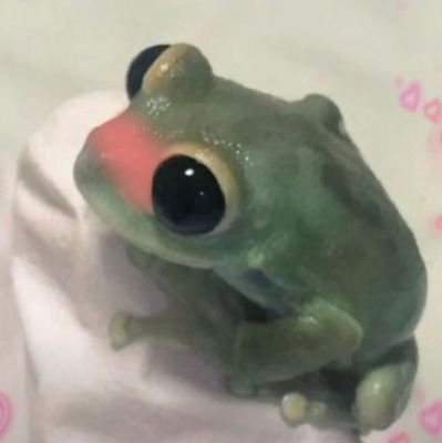 Jinger 🌸🐸 jc impregnatorさんのプロフィール画像